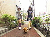 看板犬物語 ベリー 写真6