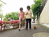 看板犬物語 ベリー 写真7