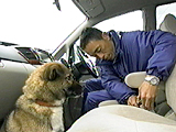 看板犬物語 海 写真3