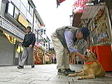 看板犬物語 ルーシー 写真3