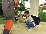 ラブ&大地 写真10
