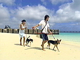 ラブ&大地 写真11