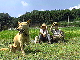 ナナ 写真14