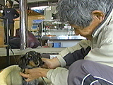 ハリー 写真6