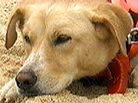 �S���� �ʐ^1