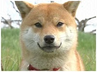 Ȃ ʐ^1