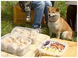 Ȃ ʐ^9