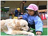 わんこＳＰ 写真11