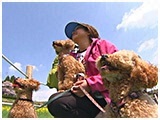 わんこＳＰ 写真18