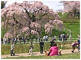 わんこＳＰ 写真19