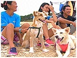 わんこＳＰ 写真19