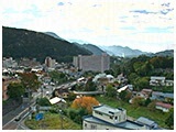 わんこＳＰ 写真4
