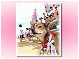 わんこＳＰ 写真6