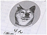 わんこＳＰ 写真7