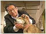 わんこＳＰ 写真11