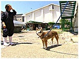 わんこＳＰ 写真16