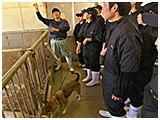 わんこＳＰ 写真17