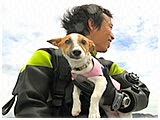 わんこＳＰ 写真9