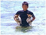 わんこＳＰ 写真15