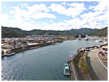 わんこＳＰ 写真3