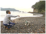 わんこＳＰ 写真10