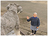 わんこＳＰ 写真13