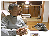 わんこＳＰ 写真15