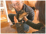 わんこＳＰ 写真14