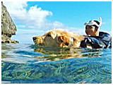 わんこＳＰ 写真12