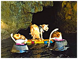 わんこＳＰ 写真15