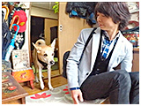わんこＳＰ 写真6