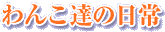 w񂱒B̓x