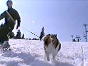 遊 遊