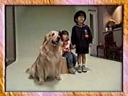 �v���e�B�[�v���e�B�[