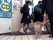 ドビン ドビン