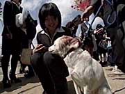 ポチ ポチ