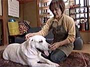 �����Z�f�X