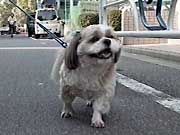 ラーク ラーク