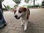 ���W���[