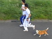 チャロ チャロ