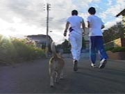 チャロ チャロ