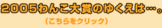 2005񂱑܂̂䂭́cB
iNbNj