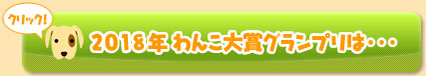 2018年のわんこ大賞グランプリ