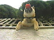 ���[