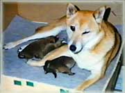 ����