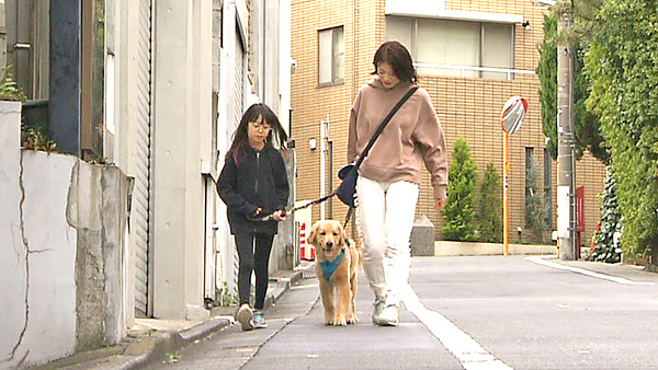 チェスター きょうのわんこ 写真2