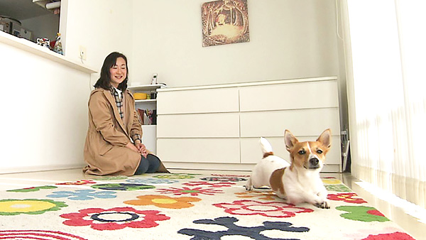 こむぎ きょうのわんこ 写真4