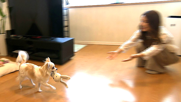 ブラン きょうのわんこ 写真3