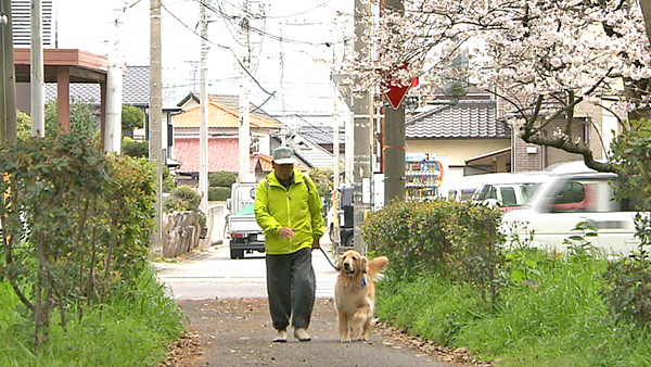 琥珀 きょうのわんこ 写真2
