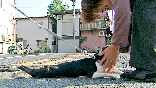 ニョッキ きょうのわんこ 写真3